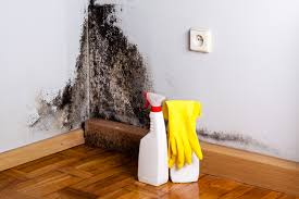 Best Attic Mold Removal  in Marlton, MD